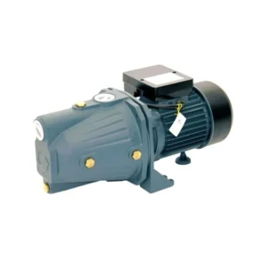 Rainpump SGJW110 Santrifuj Pompa 1.5Hp Bakır Sargılı